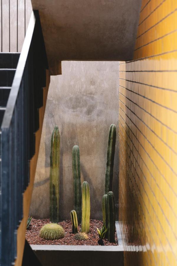 Casa Hoyos - Hotel Boutique San Miguel de Allende Exterior photo
